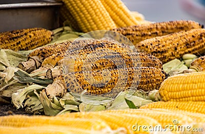 Roasted Corn on the Cob Stock Photo