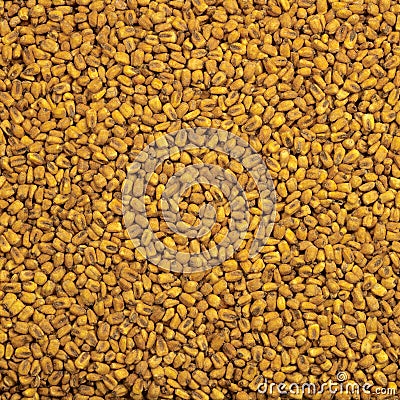 Roasted Corn Stock Photo