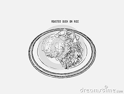 roasted duck with rice, Thai food, Chinese food. hand draw sketch vector. Vector Illustration