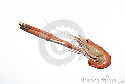 Roasted giant freshwater prawn with its long claws Stock Photo