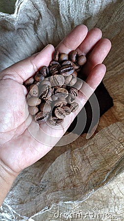 roasted Indonesian coffee beans Stock Photo