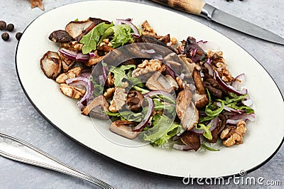 Roasted mushroom salad Stock Photo