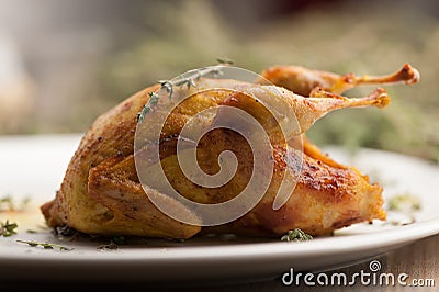 Roasted quail meat Stock Photo