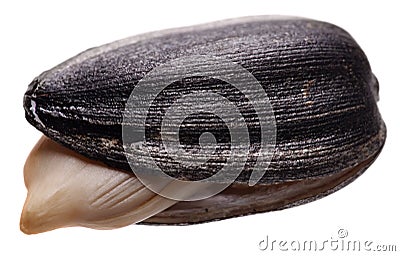 Roasted Sunflower Seeds isolated white background. Stock Photo