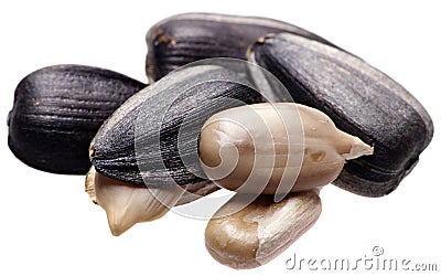 Roasted Sunflower Seeds,isolated on white background. Macro Stock Photo