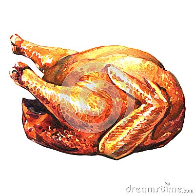 Roasted turkey on white background Stock Photo