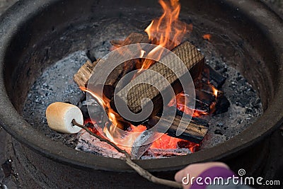 Roasting large marshmallow on a stick over the campfire firepit. Camping family fun Stock Photo