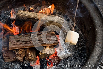 Roasting large marshmallow on a stick over the campfire firepit. Camping family fun Stock Photo