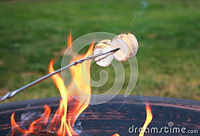 Roasting Marshmallows Stock Photo