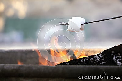 Roasting marshmallows at the beach Stock Photo