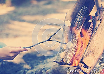 Roasting Marshmallows Instagram Style Stock Photo