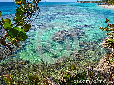 Roatan, Honduras blue ocean, reef, vegetation growing on rocks. Tropical exotic island, vacation, resort, sandy beach in the backg Stock Photo