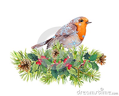 Robin bird in snow flakes. Christmas tree branches, mistletoe. Watercolor Stock Photo