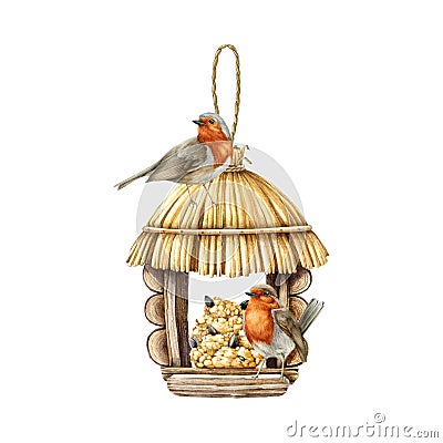 Robin birds on the feeder. Watercolor illustration. Hand drawn cozy vintage style house for feeding birds. Couple of Cartoon Illustration