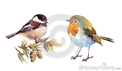 Robin and Chickadee Birds Watercolor Illustration Set Hand Drawn Cartoon Illustration