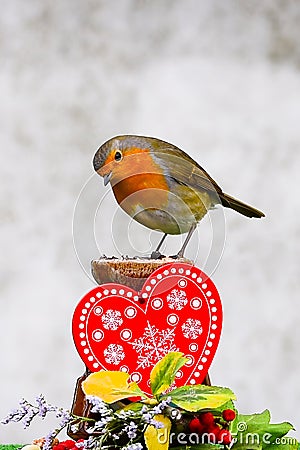 Robin on red heart decoration. Valentine greeting card with copy space Stock Photo
