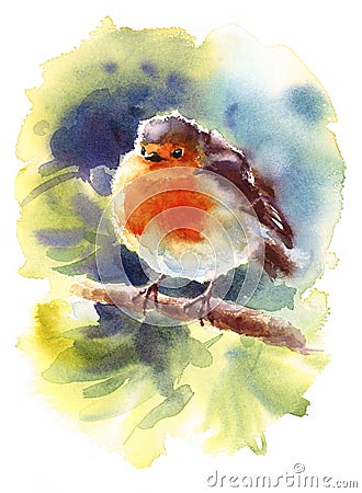 Robin Watercolor Bird Illustration Hand Painted Cartoon Illustration