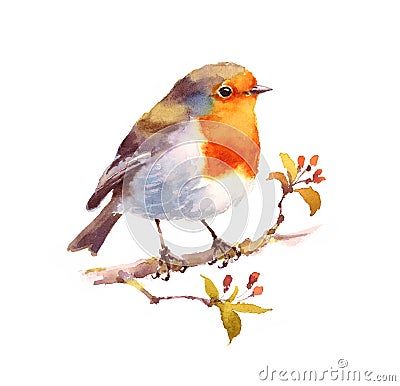 Robin Watercolor Bird Illustration Hand Painted Cartoon Illustration