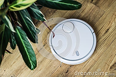 Robot vacuum cleaner on wooden floor. The view from the top. Smart home concept. Automatic cleaning Stock Photo