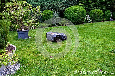 robotic lawnmower mowing garden lawn Stock Photo