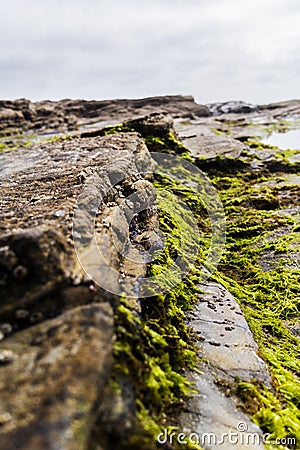 Rock Background. Stock Photo