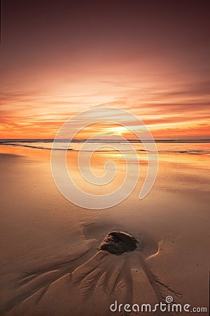 Rock on beach at sunset Stock Photo