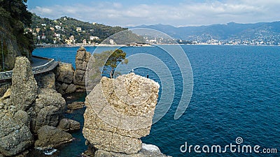 The Rock of Cadrega, maritime pine tree, aerial view, waterfront between Santa Margherita Ligure and Portofino Liguria, Stock Photo