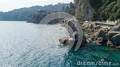 The Rock of Cadrega, maritime pine tree, aerial view, waterfront between Santa Margherita Ligure and Portofino Liguria, Stock Photo