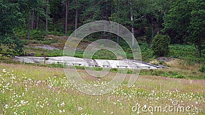 Granite bedrock in Tanum with famous rock carvings in Sweden Stock Photo