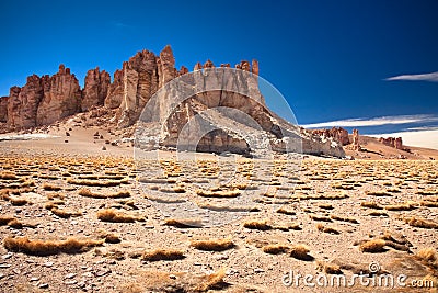 Rock cathedrals in Salar de Tara, Chile Stock Photo