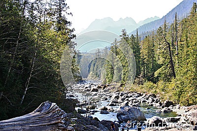 Rock, Creek, Mountain in Tofino, Vancouver Island, British Columbia, Canada Stock Photo