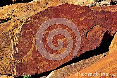 Rock engravings at Twyfelfontein, Namibia Stock Photo