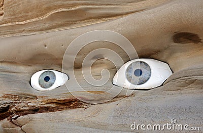 Rock with eyes Stock Photo