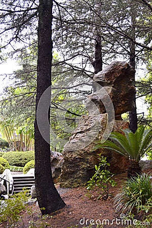 Rock formation, Chinese Garden of Friendship, Darling Harbour, Sydney, New South Wales, Australia Stock Photo