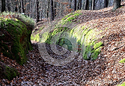 Rock formation of human origin. the forest path passing along the hillside was dug into sandstone rock. It was difficult dig such Stock Photo