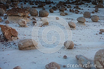 The Rock Garden at Bisti Badlands Wilderness Area New Mexico Stock Photo