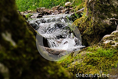 A rock hiding the streams Stock Photo