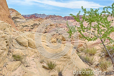 Rock Jumble, Valley of Fire State Park, NV Stock Photo