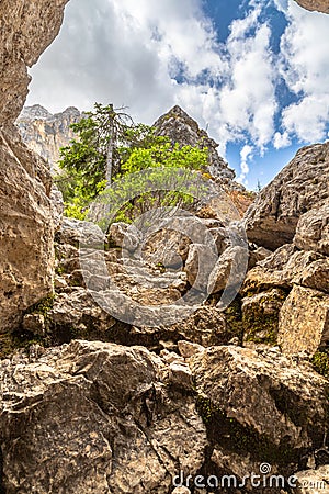 Rock labyrinth below Latemar mountains Stock Photo