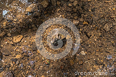 Rock laying In River Water Stock Photo