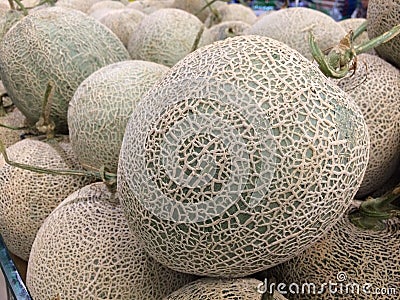 rock melon Stock Photo