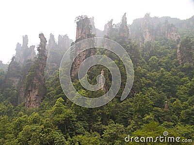 Rock mountain in Zhangjiajie. Stock Photo
