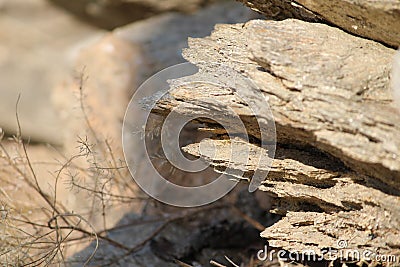 Rock Mountains Stock Photo