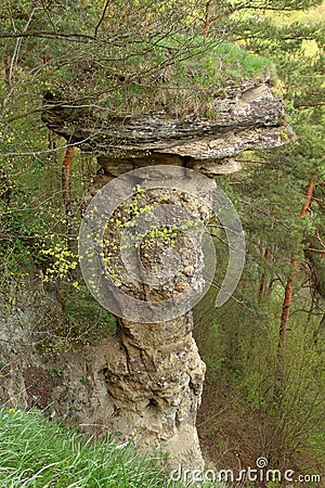 Rock mushroom in Markusovce, Slovakia Stock Photo