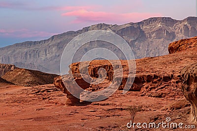 Rock Mushroom in Timna, Israel Stock Photo