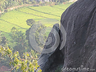 Rock and paddy feald Stock Photo