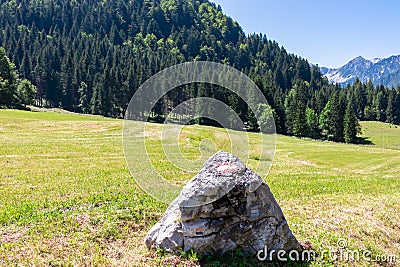 Bodental - Rock with path mark on lush green alpine meadow with scenic view of Karawanks mountains, Bodental Stock Photo