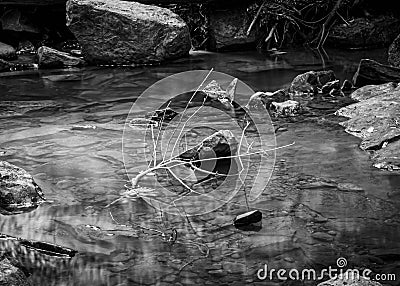 Rock pool in monochrome, landscape photography Stock Photo
