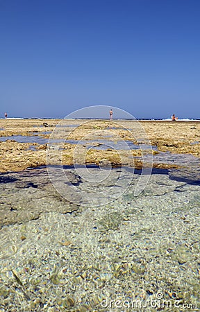 Rock pools on beach in summer Stock Photo