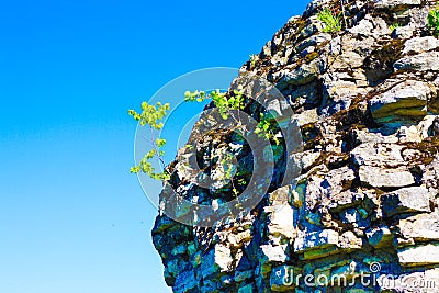 Rock in Pushkin Park Stock Photo